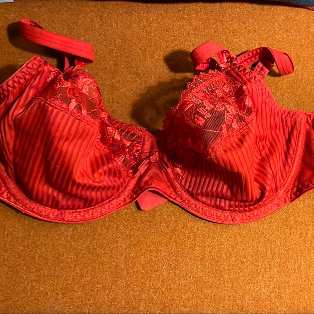 NWOT Chantelle Pont Neuf Red Lace Bra 34B